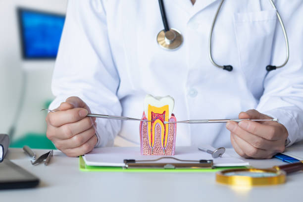 Best Emergency Root Canal Treatment in Janesville, WI